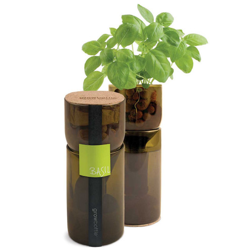 Recycled Grow Bottle - Basil