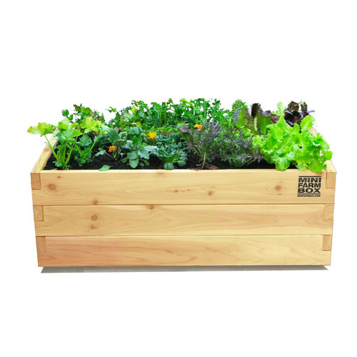 Rolling Patio Planter