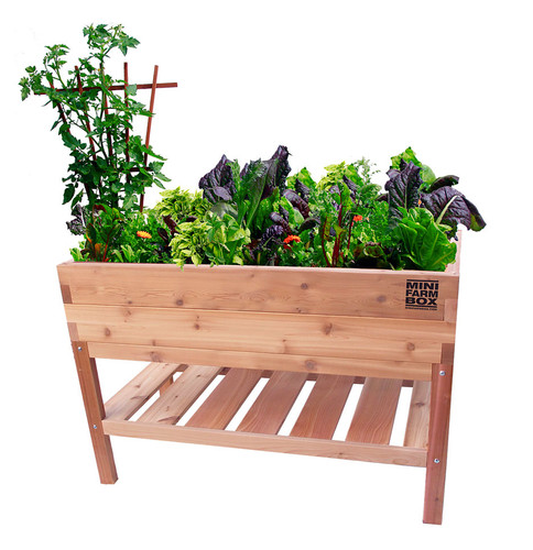 Rock-solid Cedar Planter with Bottom Shelf