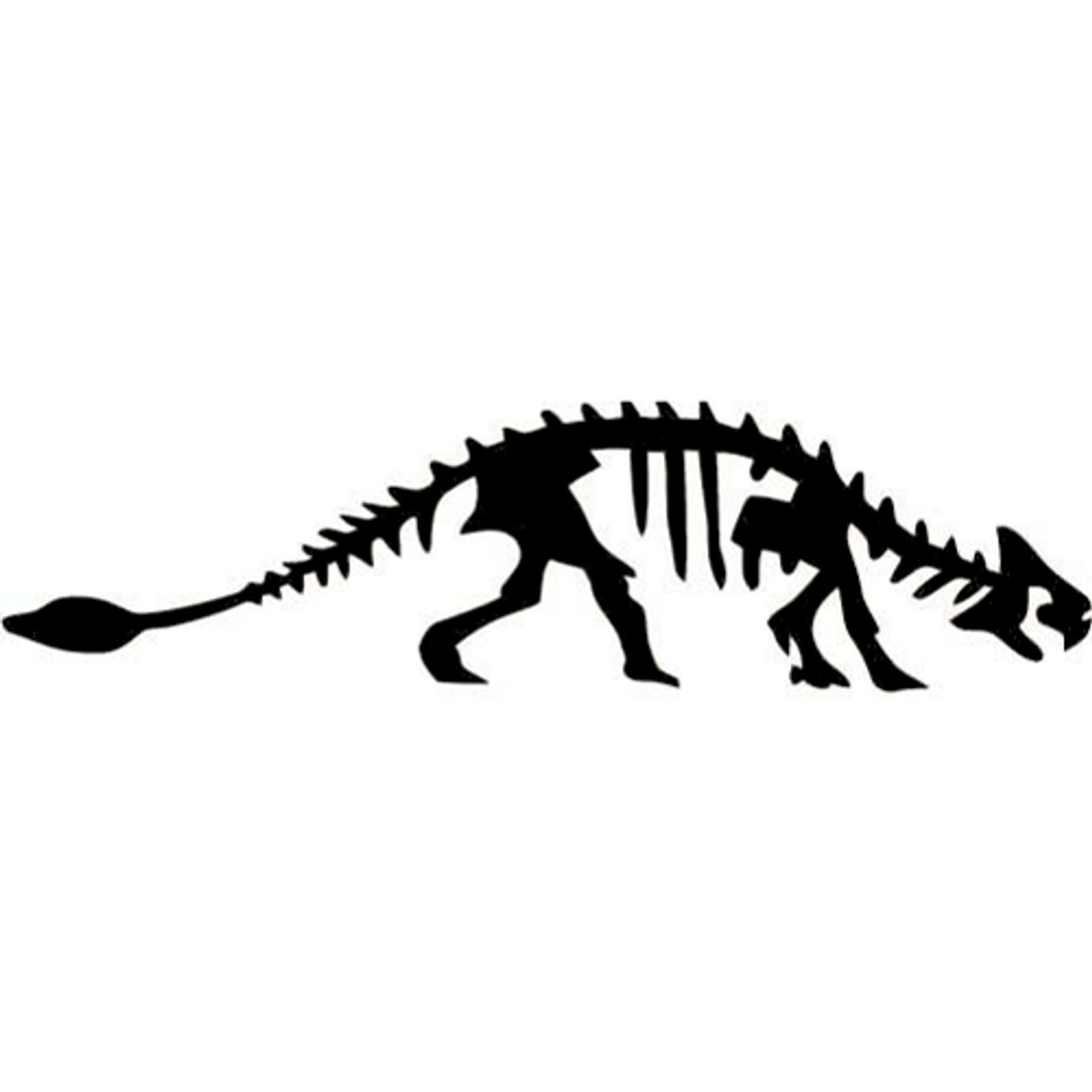 fossil ankylosaurus