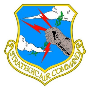 USAF Air Force Strategic Air Command Decal