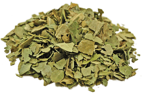 Organic Yaupon Organic Yaupon