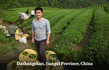 dazhangshan-jiangxi-province-china-7.jpg