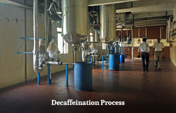 tea-decaffeination-process.jpg