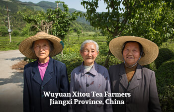 wuyuan-xitou-tea-farmer-jiangxi-province-china-2.jpg