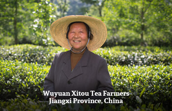Organic Tea from Jiangxi Province, China