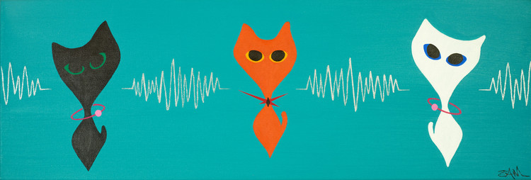 The Kitten Experiment by Stephen Mitchell