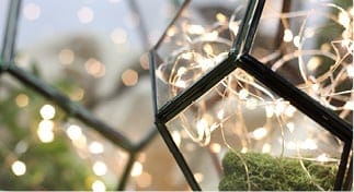 Incandescent Christmas Lights