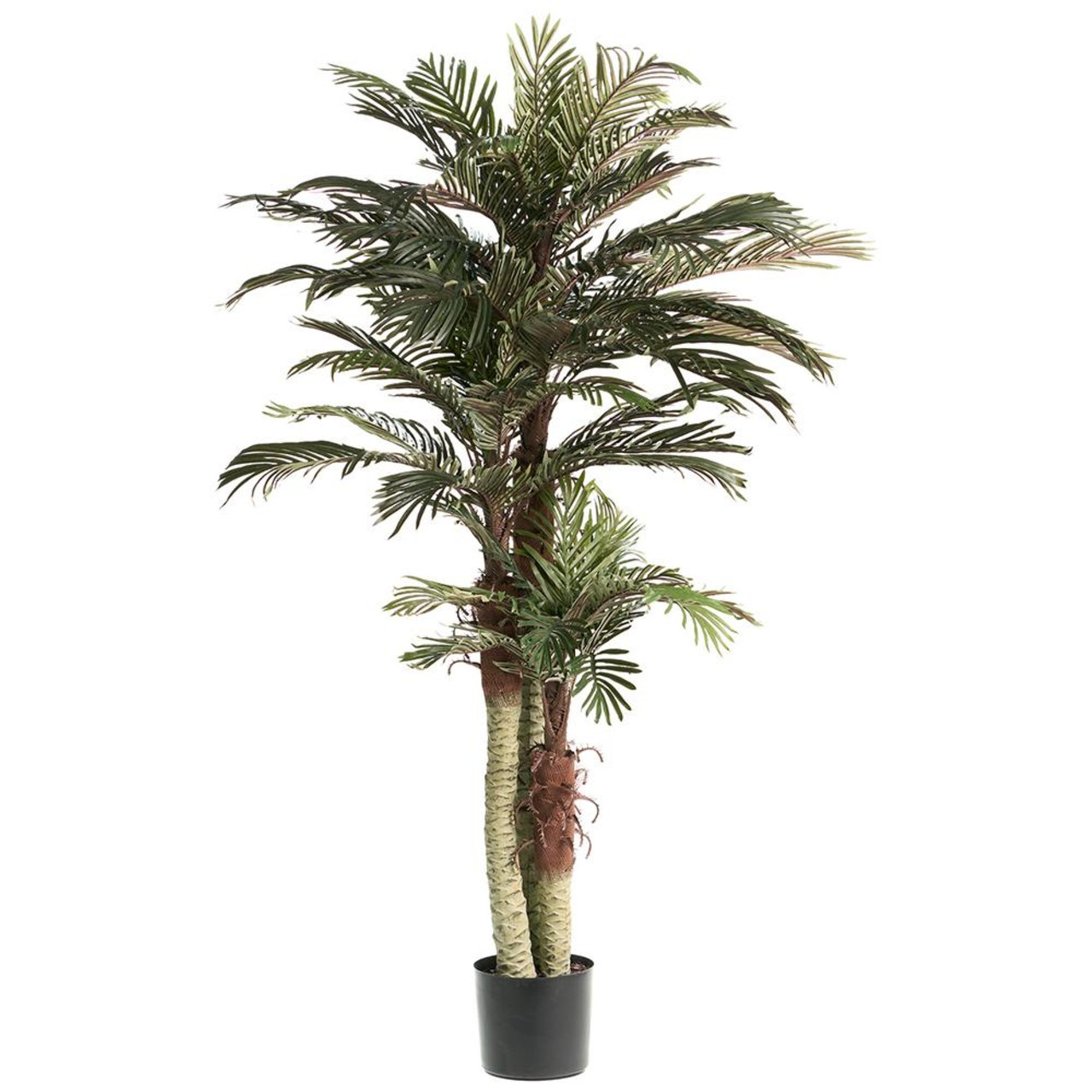 Pack of 2 Potted Artificial Phoenix Palm Trees 6' Christmas Central