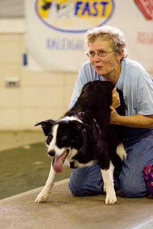 Sharon Harrell and a dog participating in Flyball