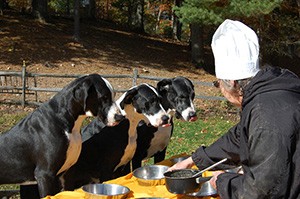 Carlene feeds the dogs