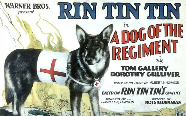 Promotional artwork for Rin tin tin