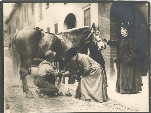 Two people shoeing a horse watched by a standing woman.