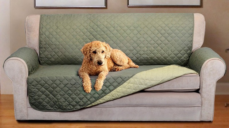 Getting Dog Hair Off Furniture Blog Kuranda Dog Beds