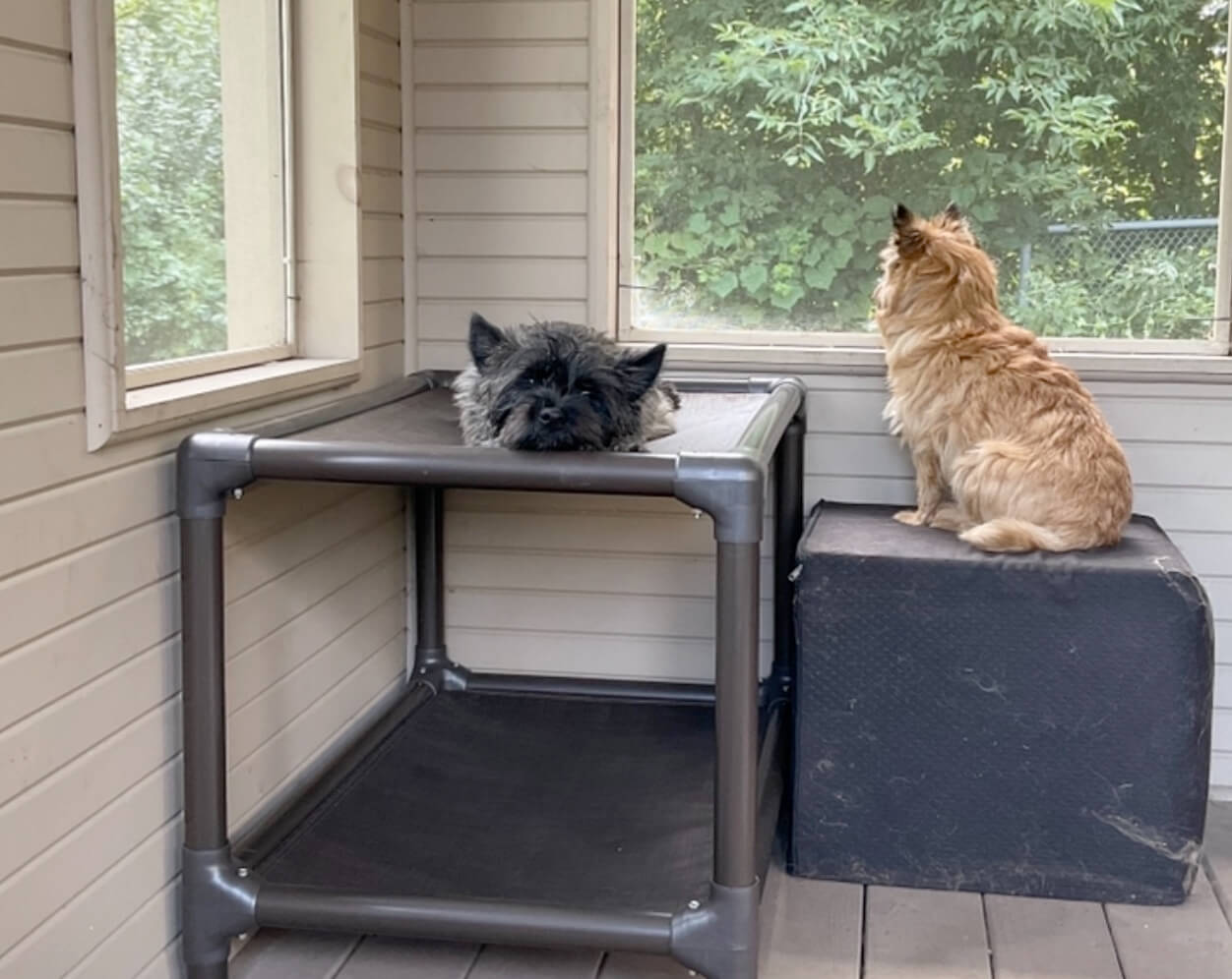 Cairn Terrier Dog Beds Kuranda Dog Beds®