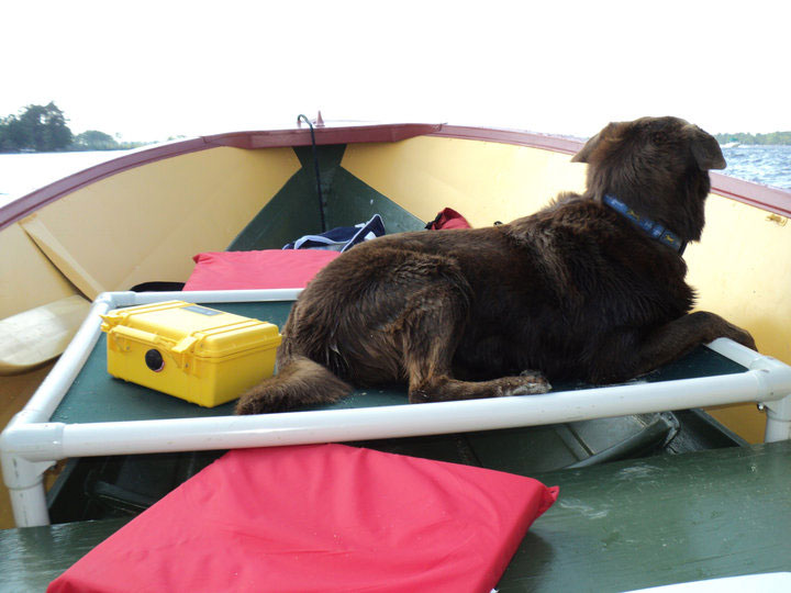 Labrador Retriever Dog Beds Kuranda Dog Beds®