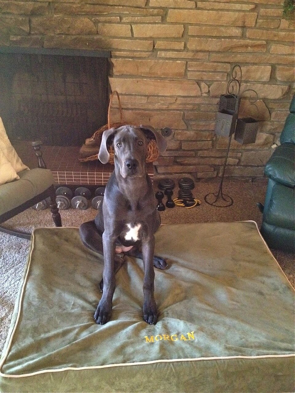 A Personalized Slipcover A Personalized Slipcover