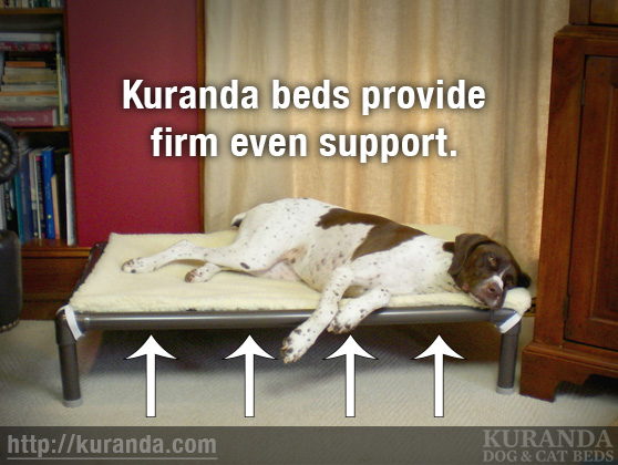 Do Kuranda Beds offer orthopedic support? | Kuranda Dog Beds®