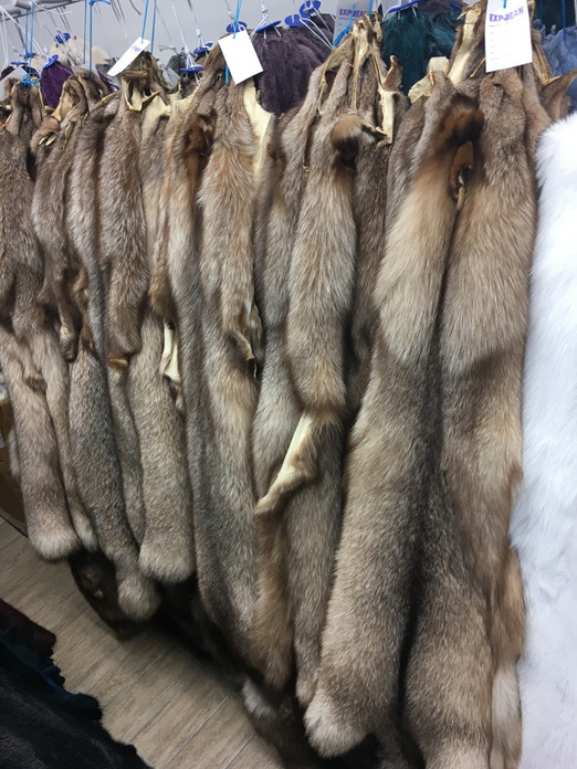 Chinchilla For Sale >> Crystal Fox fur pelts/skins - SKANDINAVIK FUR Chinchilla For Sale >> Crystal Fox fur pelts/skins - SKANDINAVIK FUR