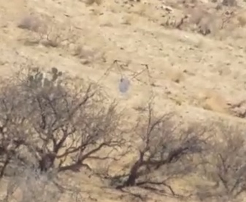 Eagle Eye 308 Win 175gr Test at 900 Yards