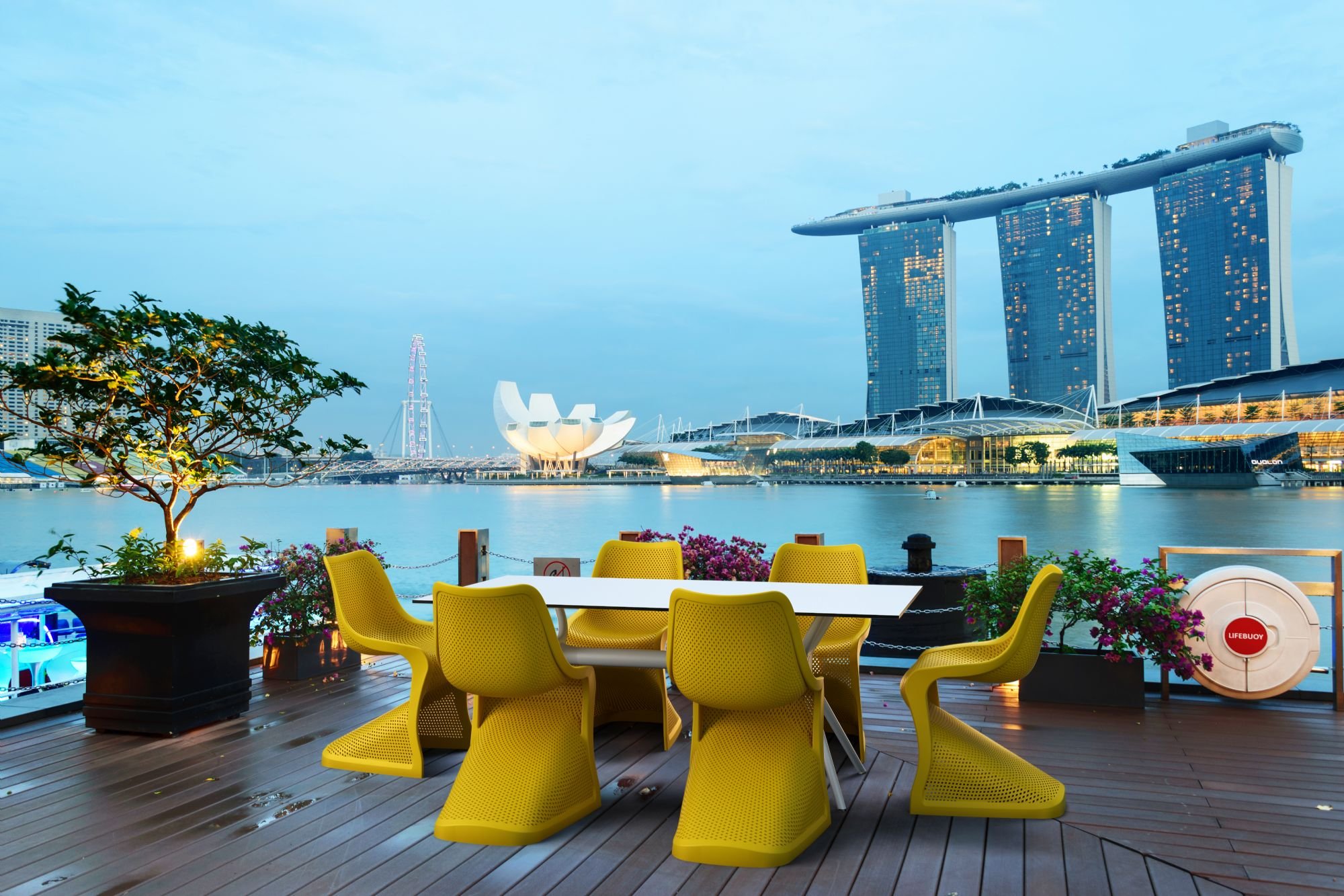 Bloom dining chairs in Singapore