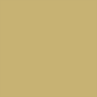 Brushed Brass Swatch