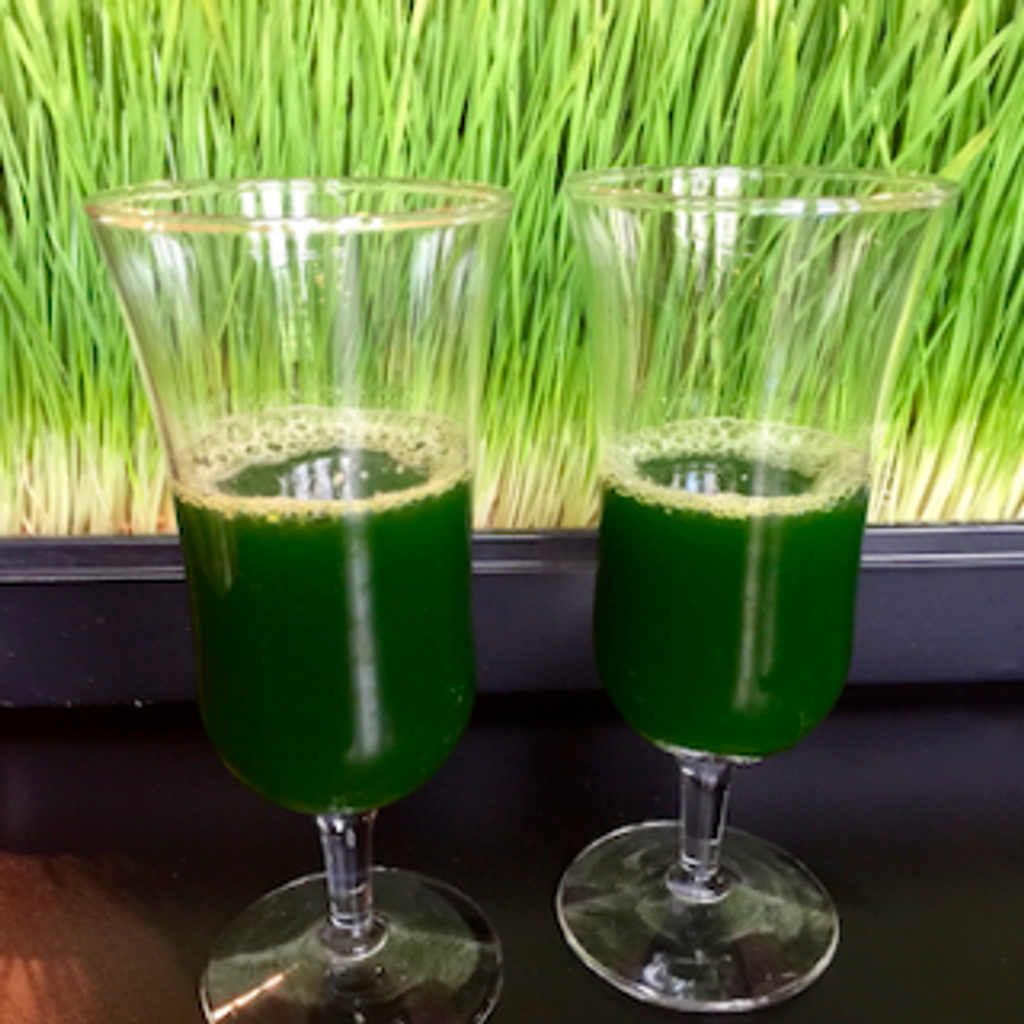 What is Wheatgrass and its Benefits