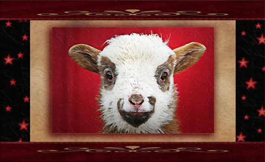 sheepish smile greeting cards by vickie close farm diggity