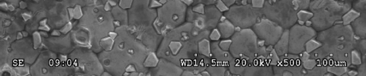 SEM-EDS Analysis