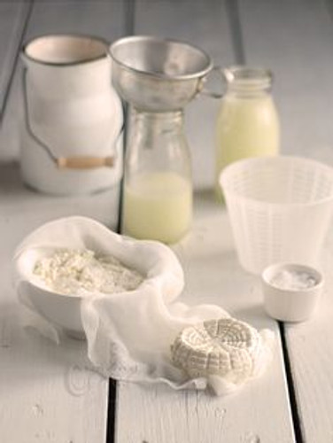 Raw Milk Cheese (Class)