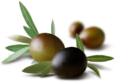 olive-real-cleansing-foam-5-700x900-innisfree.jpg