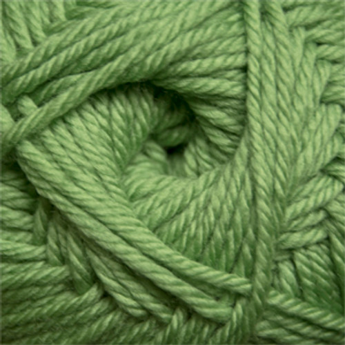 Cascade 220 Superwash Merino - Green Tea 17 Cascade 220 Superwash Merino - Green Tea 17