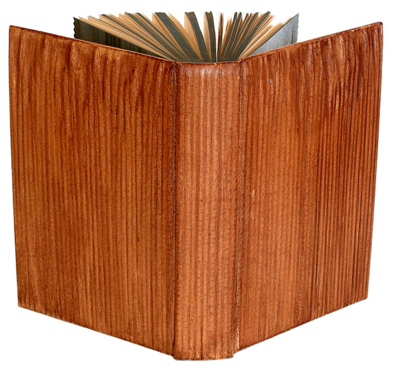 Leaves Of Grass By Walt Whitman Richard Tuttle Binding