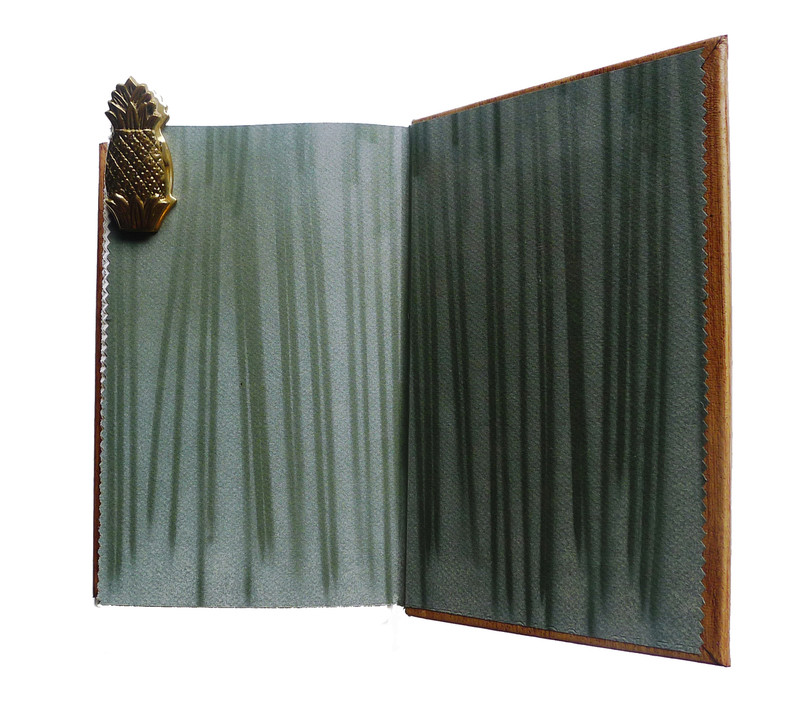 Leaves Of Grass By Walt Whitman Richard Tuttle Binding