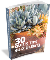 30 Quick Succulent Tips (E-Book)