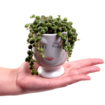 Celfie Vase Celfie Vase