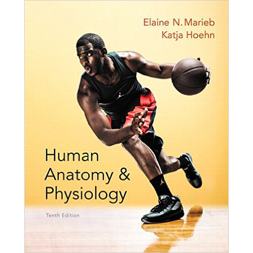 Human Anatomy & Physiology (10th Edition) Marieb