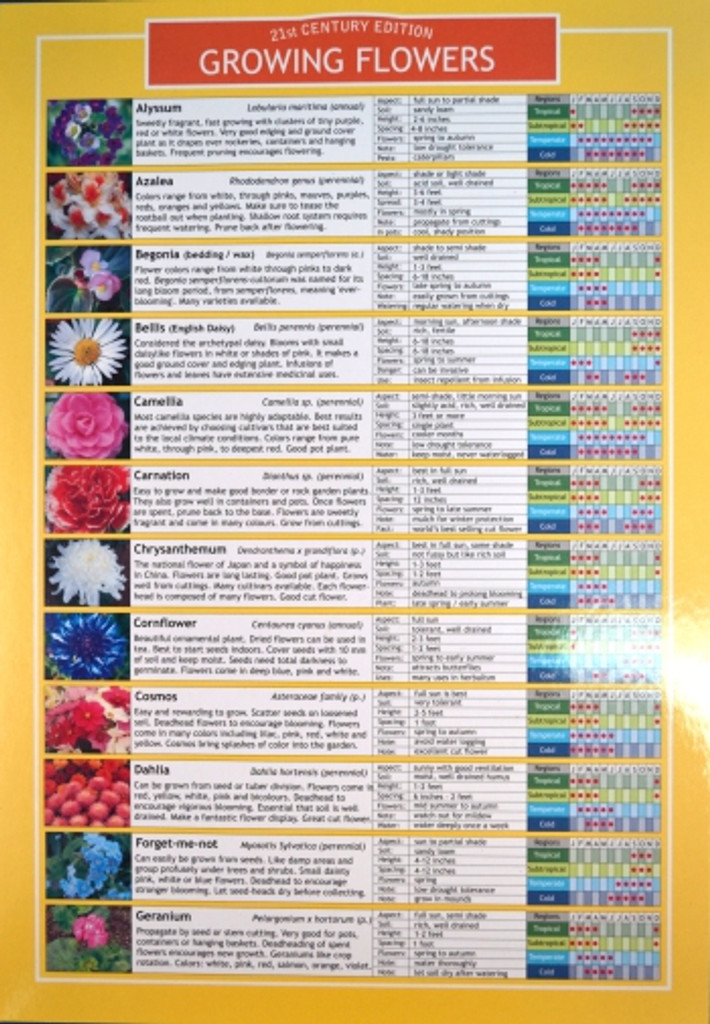 growing flowers planting chart terroir seeds flower seed germination time chart