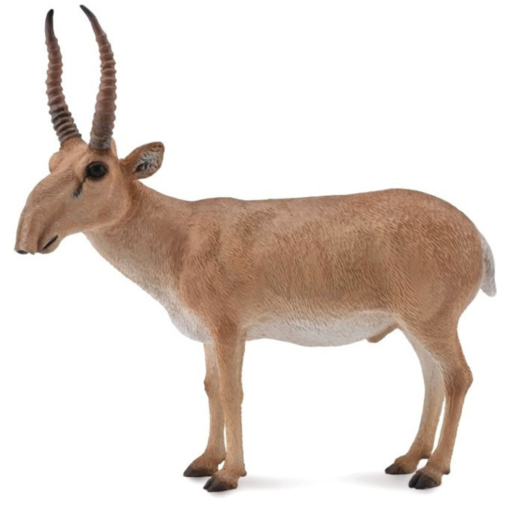 saiga antelope collecta bongo hansa stars
