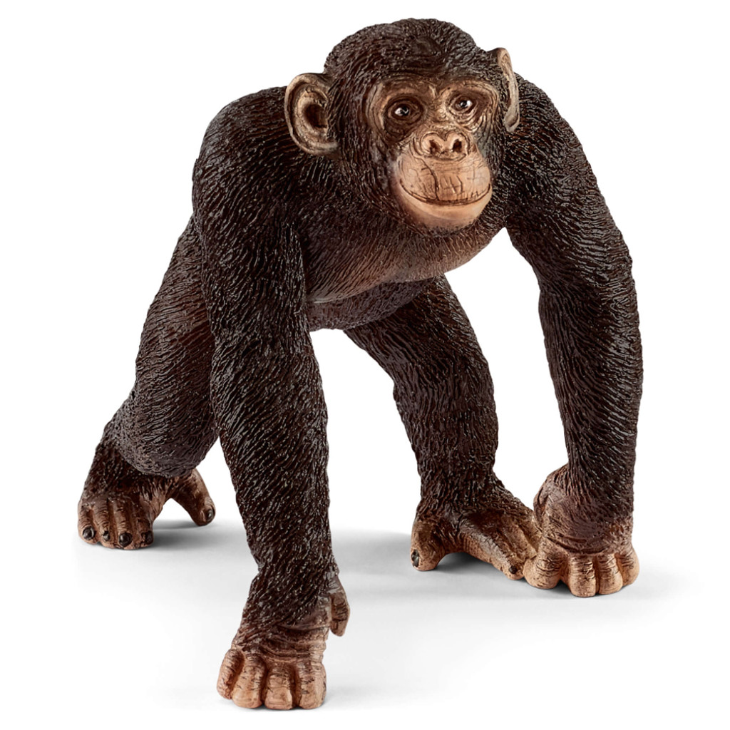 chimpanzee schleich