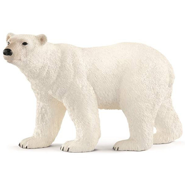 polar bear 2018