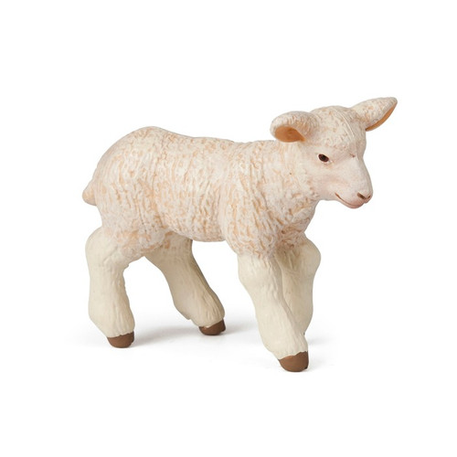 Merino Lamb