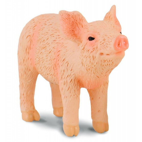 Piglet Smelling