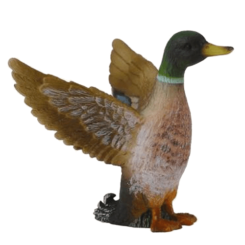 Duck Mallard Male CollectA