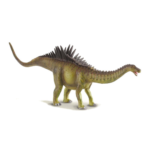 Agustinia CollectA