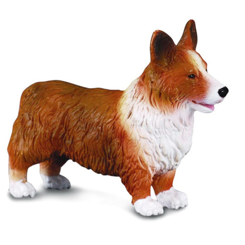 Welsh Corgi CollectA