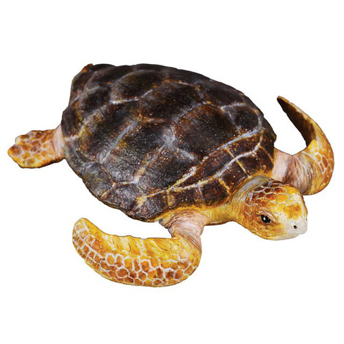 Loggerhead Turtle CollectA