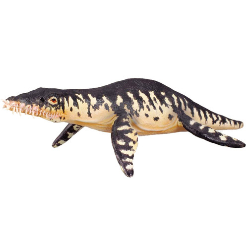 Liopleurodon CollectA