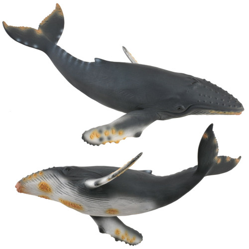 Humpback Whale CollectA