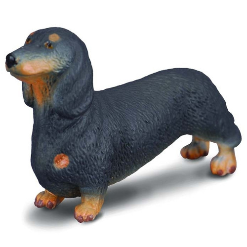 Dachshund CollectA